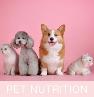 Pet nutrition