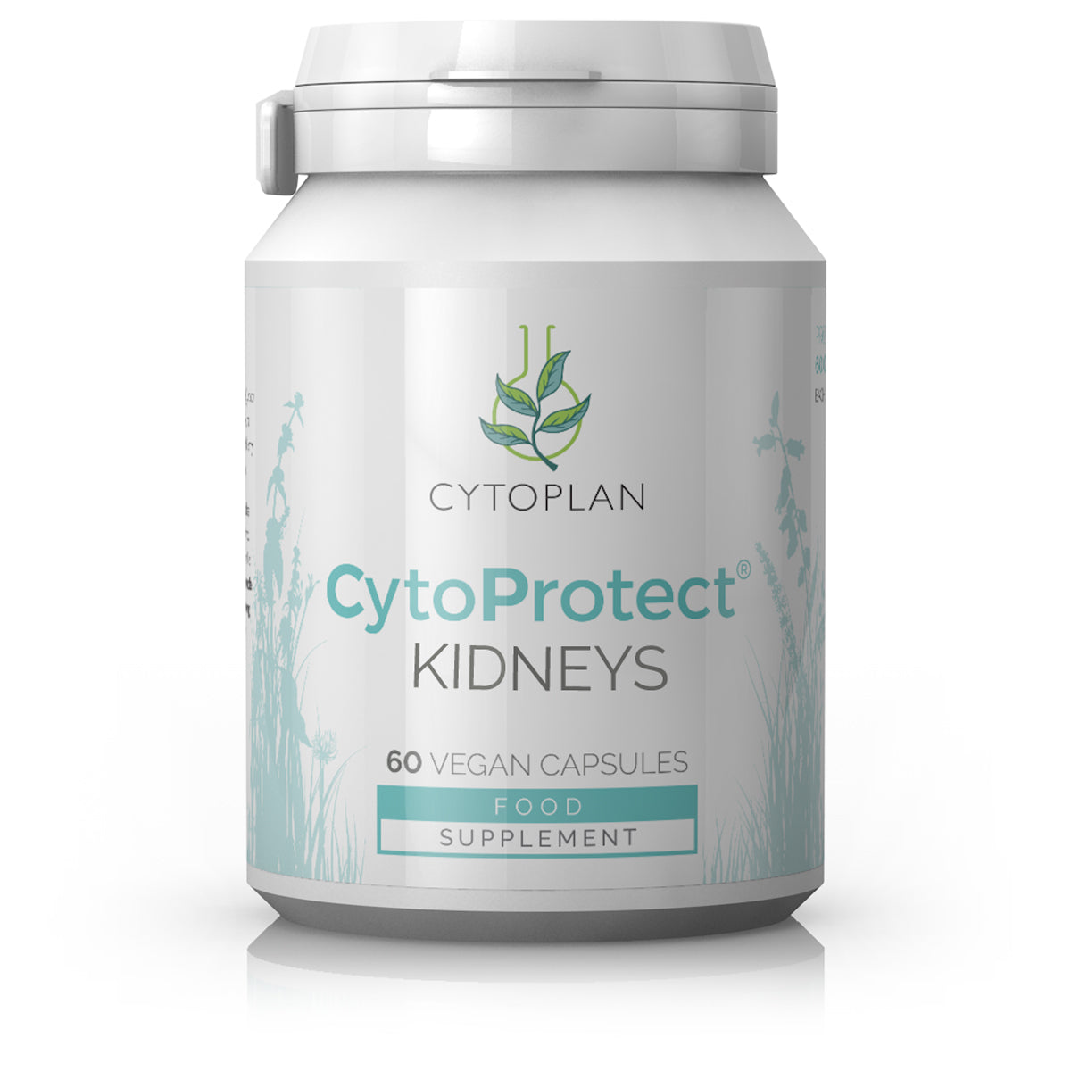 CytoProtect Kidneys 60's
